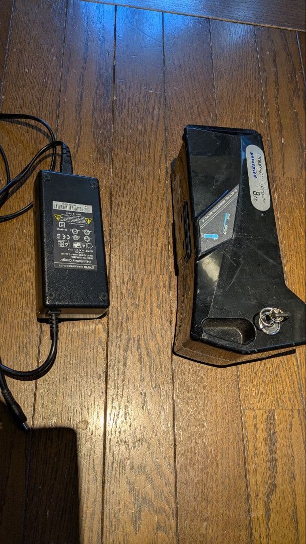 電動アシスト自転車20インチ　ジャング品