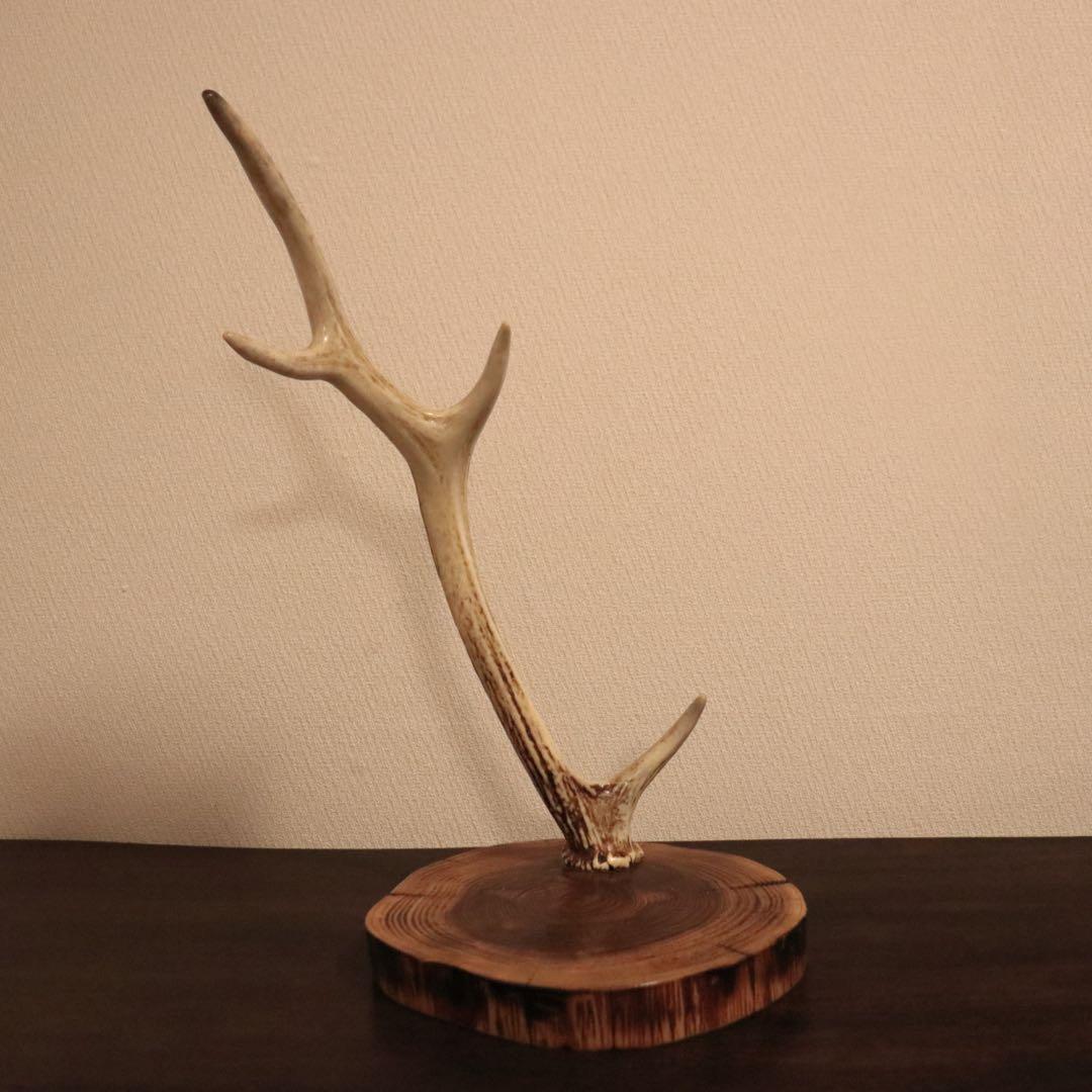 鹿の角 アクセサリースタンド #7 - メルカリ