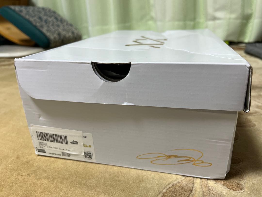 ナイキ レブロン NXXT Gen AMPD EPxフェイズ　27.5cm