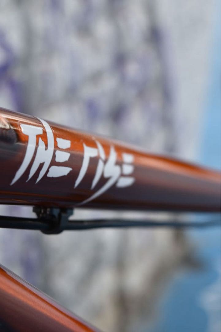 THE RISE PARTY MASTER【自転車】