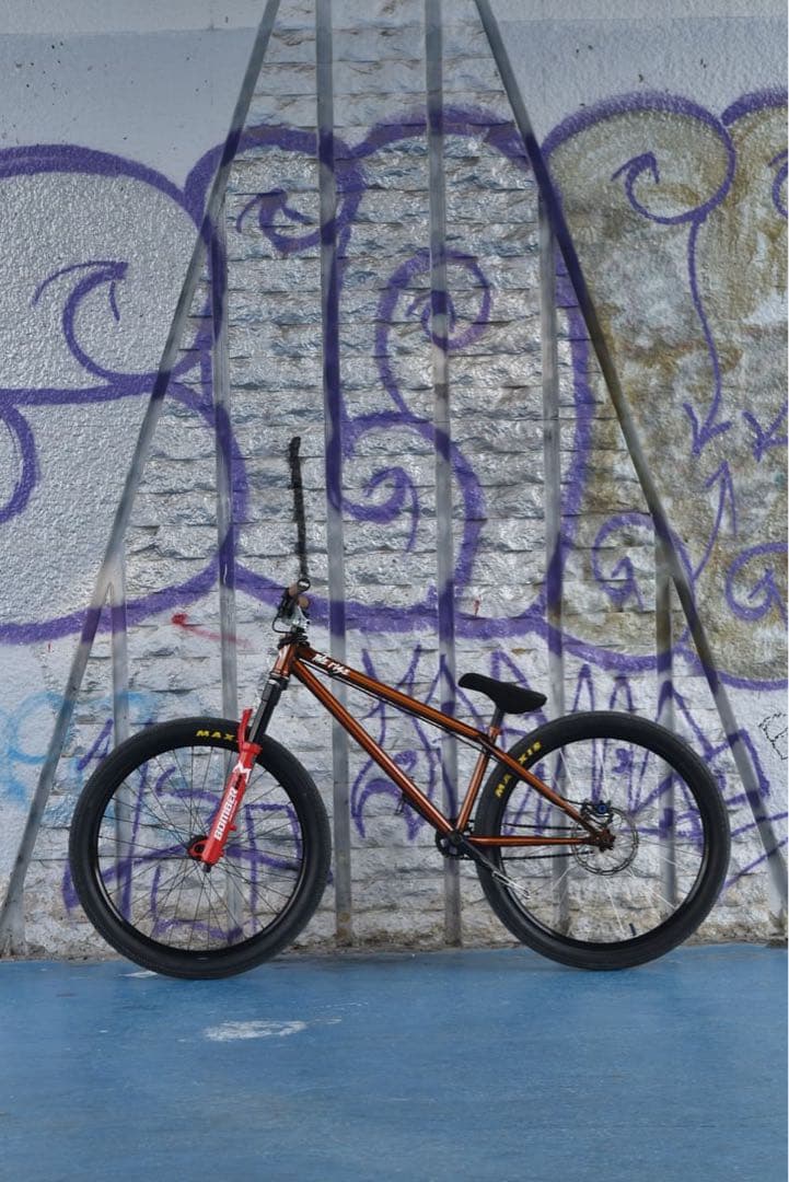 THE RISE PARTY MASTER【自転車】