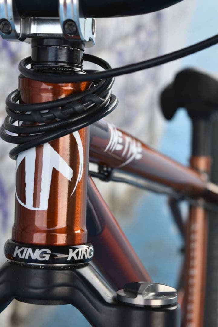 THE RISE PARTY MASTER【自転車】