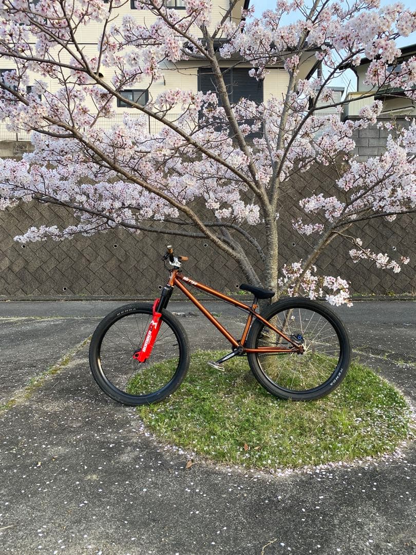 THE RISE PARTY MASTER【自転車】