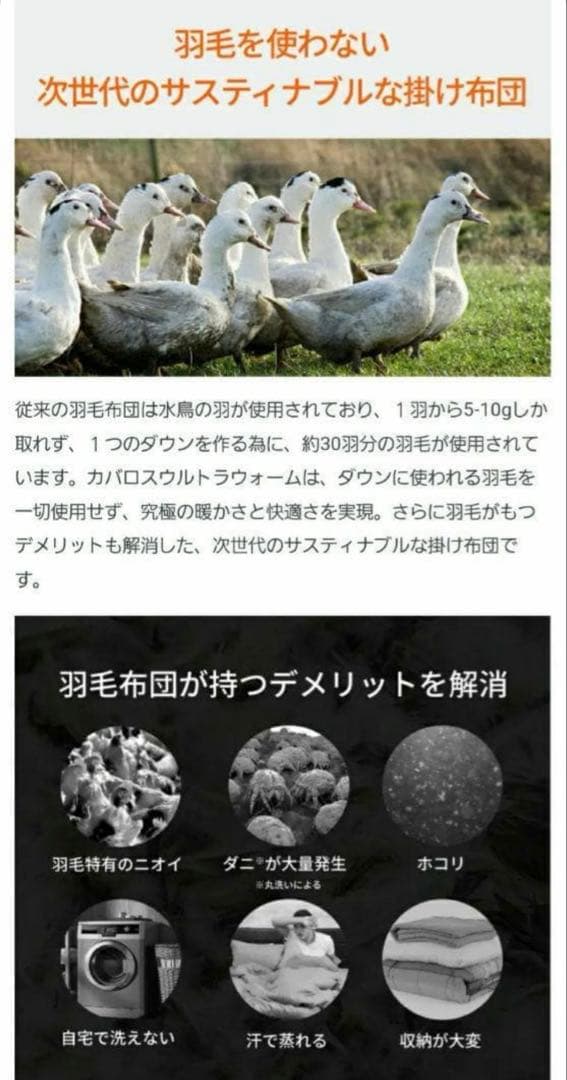 内閣総理大臣賞　COVEROSS®️ カバロス　超温熱10層掛け布団　毛布