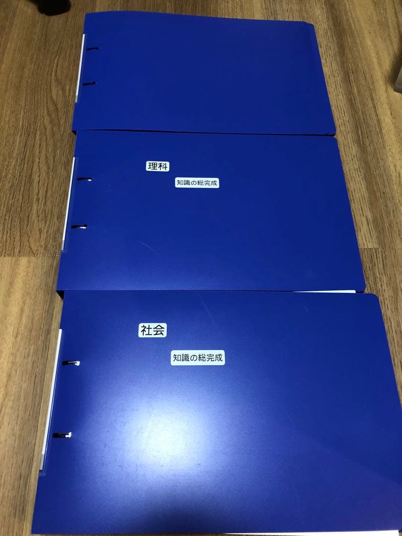 サピックス　知識の総完成