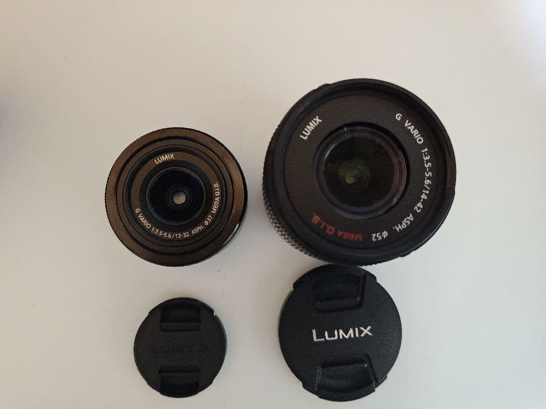 LUMIX G100Dミラーレス一眼カメラ 本体と付属品