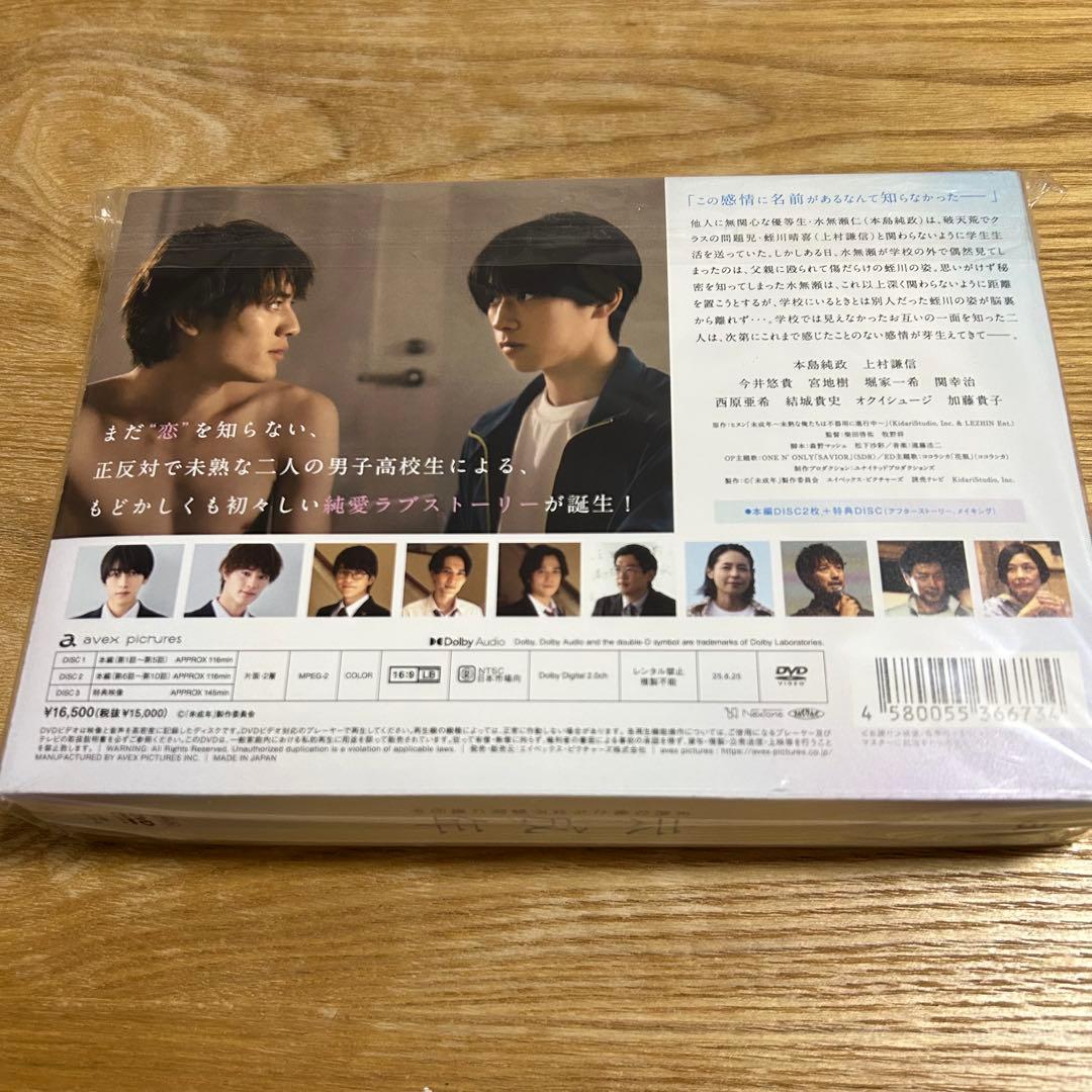 未成年～未熟な俺たちは不器用に進行中～ DVD BOX〈3枚組〉