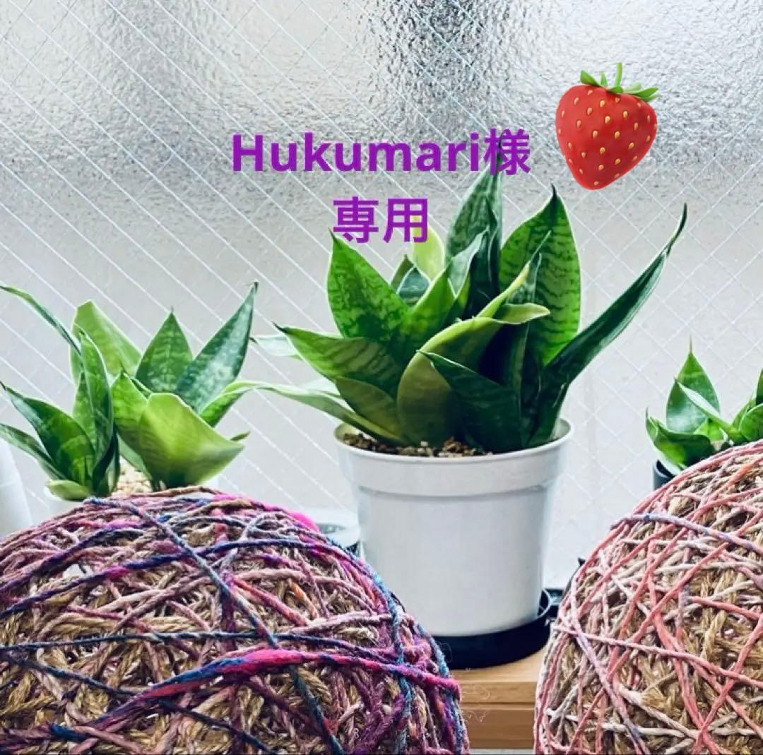 Hukumari激パネル苺ハウスポメラニアン ガーゼハンカチ　ハンドメイド