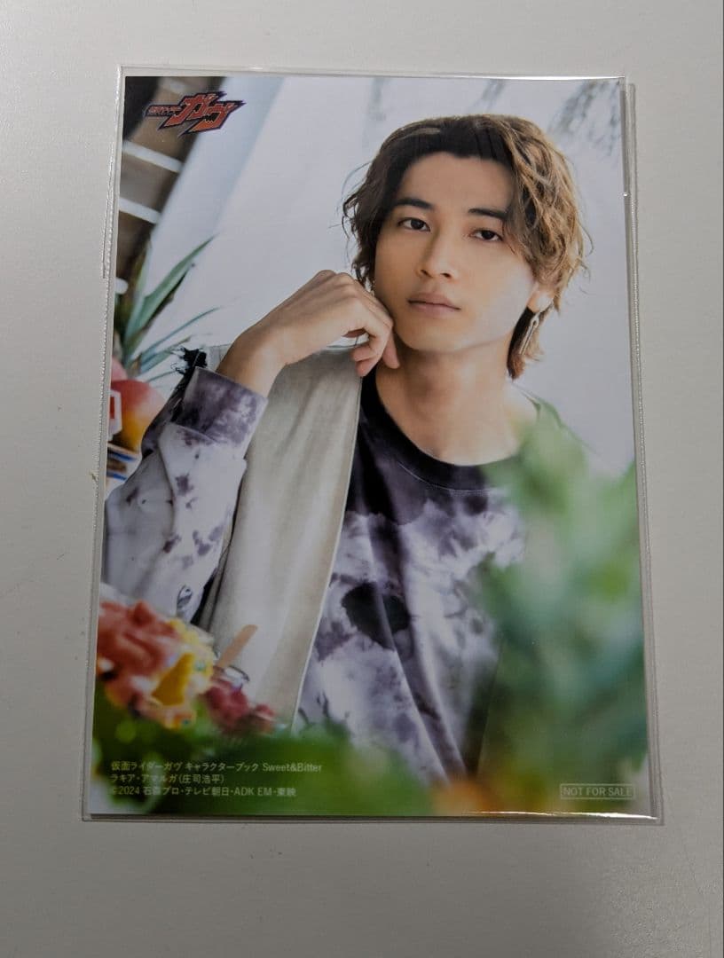 仮面ライダーガヴ キャラクターブック特典 ラキア・アマルガ 庄司浩平