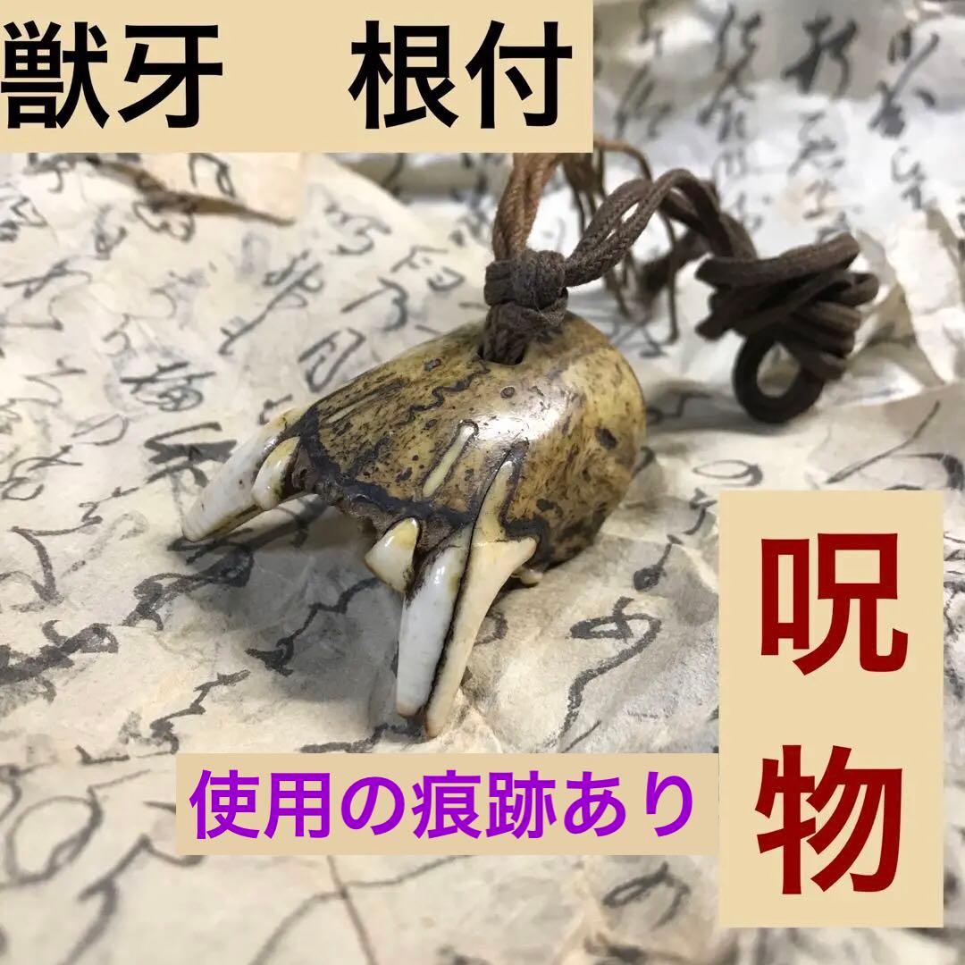 獣牙根付呪物ニホンオオカミ熊煙草入れキセル漆緒締め玉メノウ