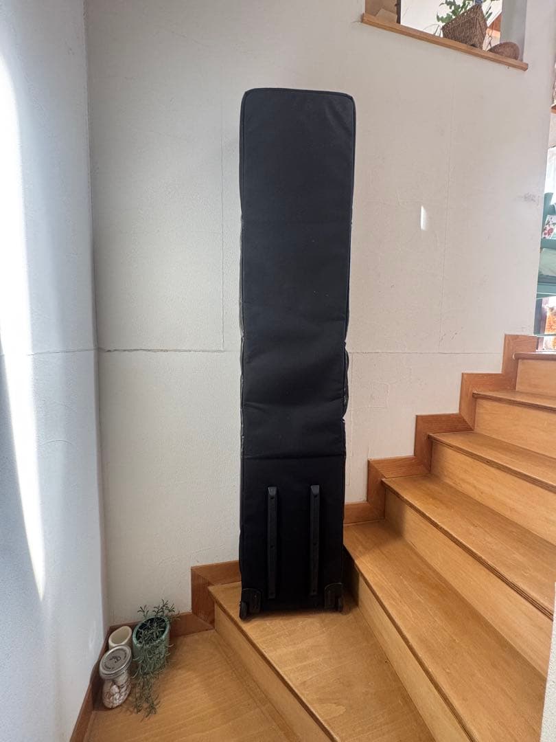 patagonia ブラックホール スノーローラー ウィンタースポーツ