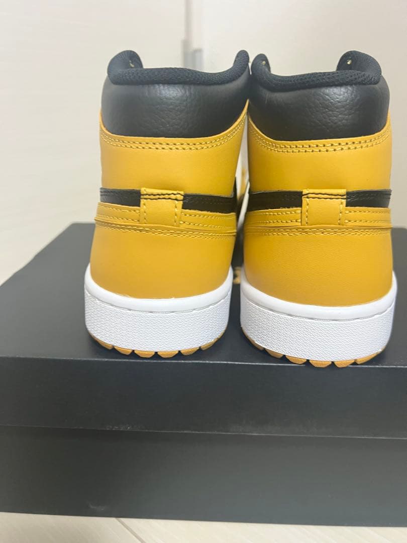 シューズ(男性用) AIR JORDAN 1 HIGH GOLF \"Pollen\"