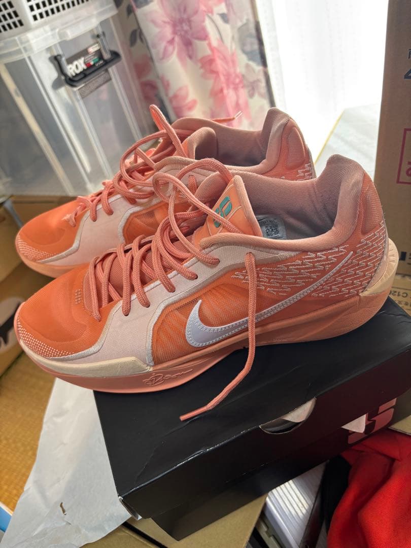 SABRINA 2 EPバスケットボールシューズ アプリコット