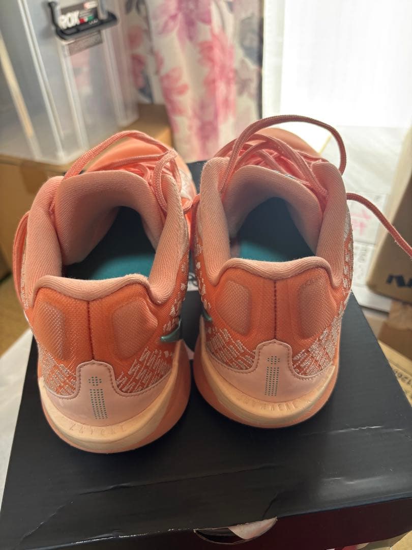 SABRINA 2 EPバスケットボールシューズ アプリコット