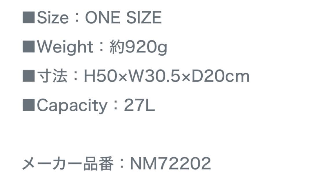 ⭐︎1/4まで お値下げ中✩ ノースフェイス ホットショット リュック