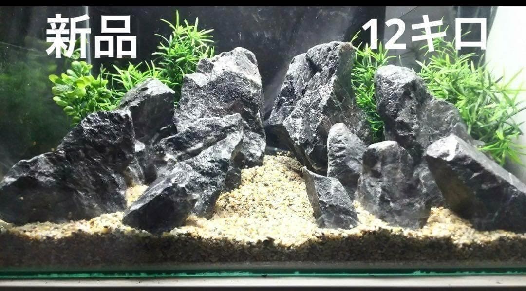 2[新品 親石付]清流石12キロ☆水槽 レイアウト 青龍石 山谷石 万天石