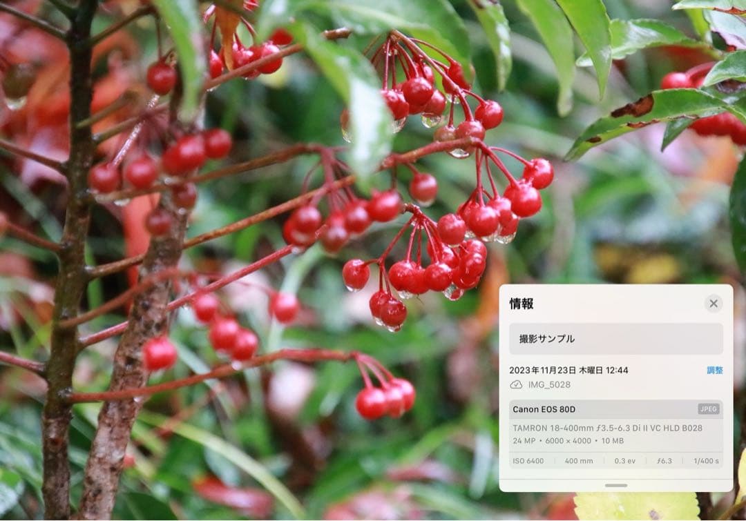 レンズ(ズーム) 18-400mm F/3.5-6.3 Di II VC HLD