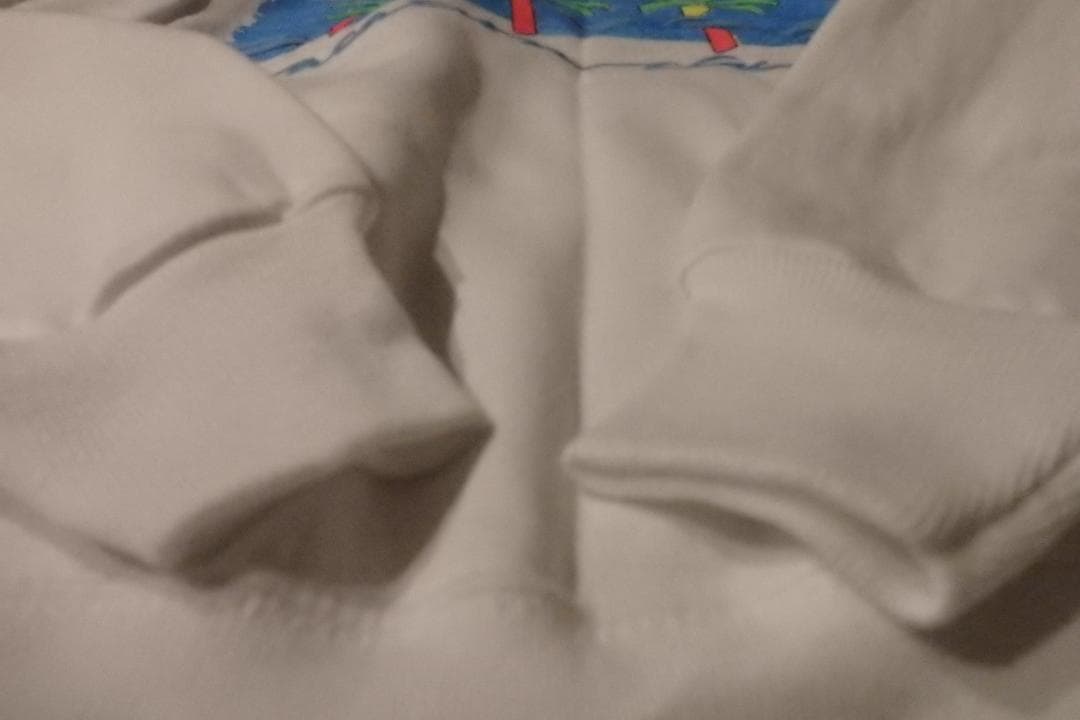 USA製 80s Hanes LOS ANGELES 発砲プリント スウェット