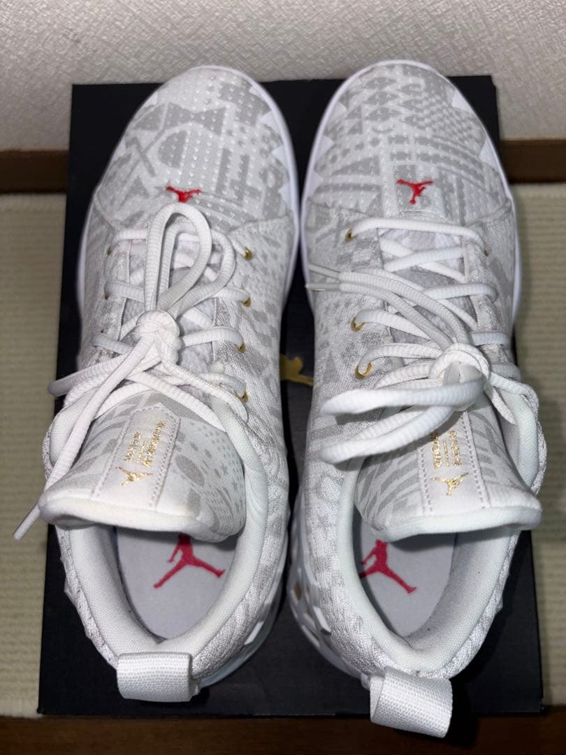 シューズ(男性用) JORDAN JUMPMAN DIAMOND LOW PF 28.5cm