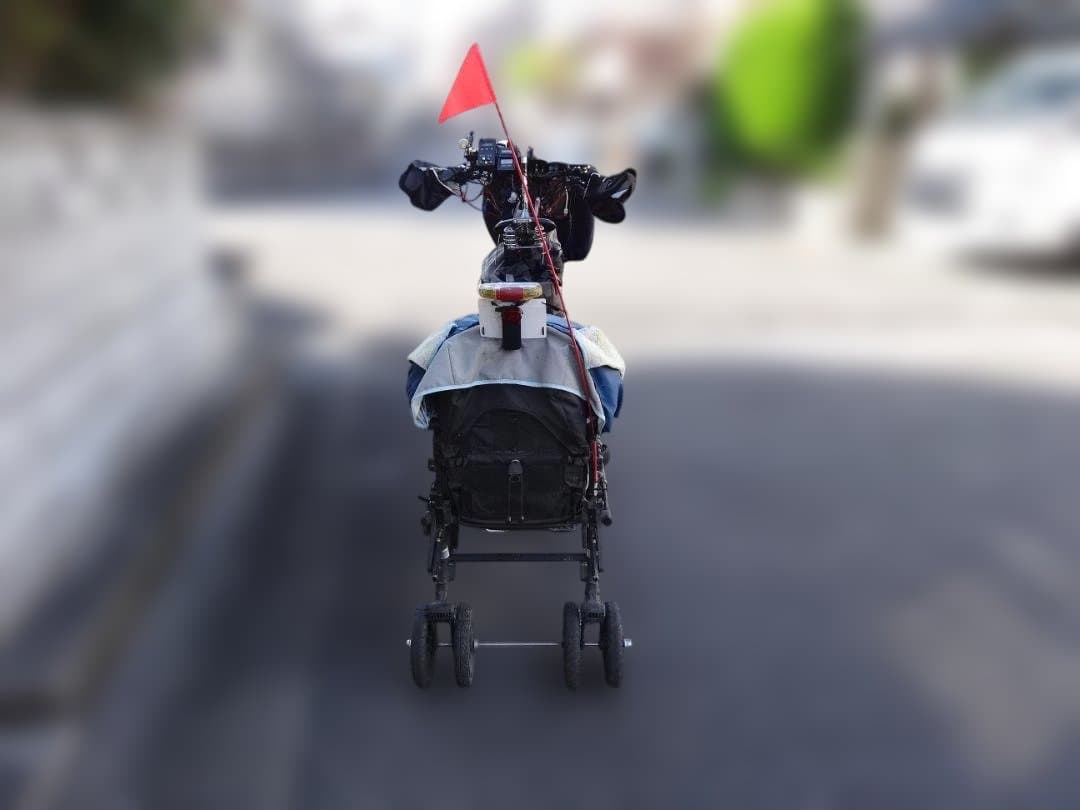 BesV　PSA1　手渡し専用 / サイクルトレーラー別売り（アレンジ満載）