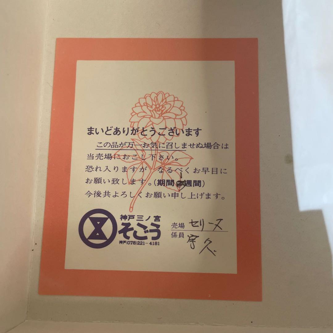 専用❗️未使用に近い♡CELINE✨セリーヌ トリオンフ　 ゴールド金具 レザー