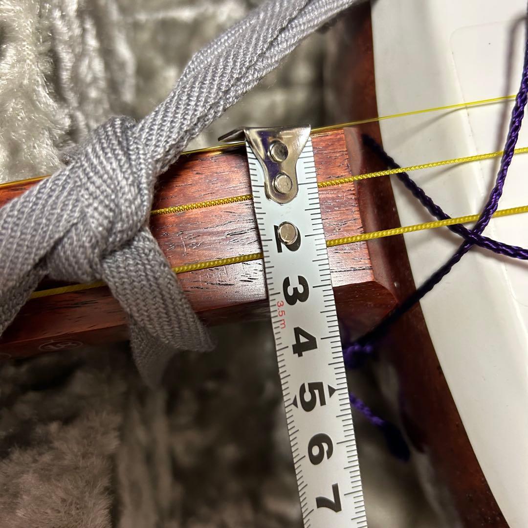 日本和楽器製造 銀河印 津軽三味線 入門セット　ハードケース