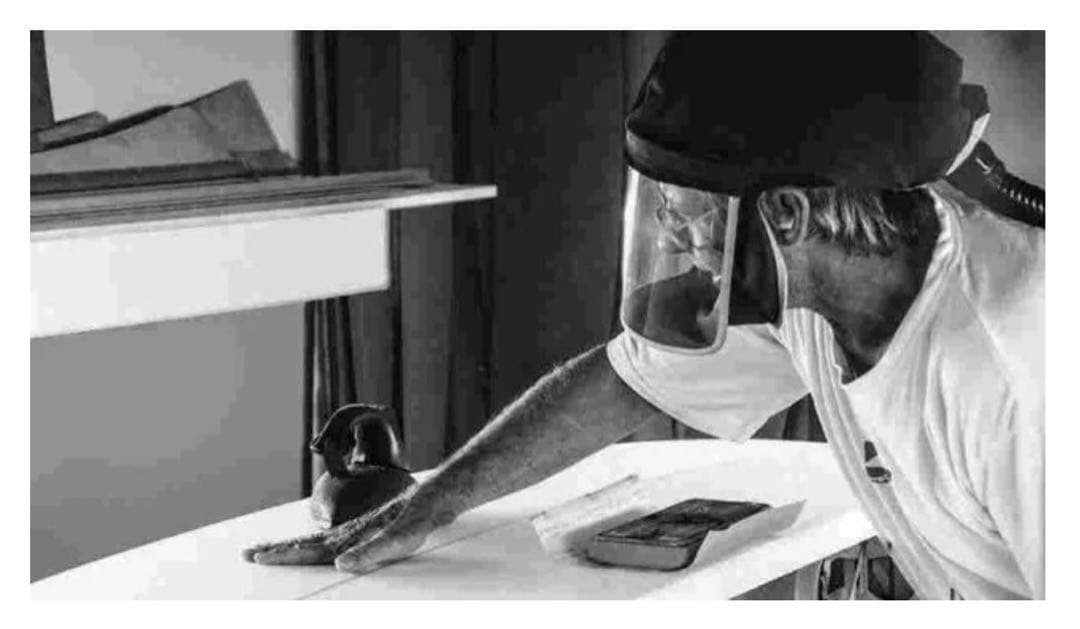 希少】Harley Ingleby Shape QF 5.10 - メルカリ