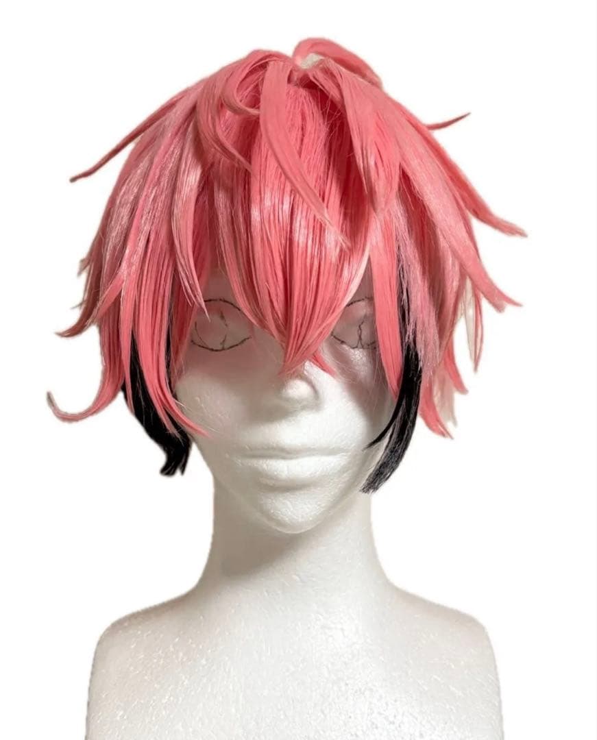 にじさんじ 赤城ウェン コスプレ ウィッグ - メルカリ