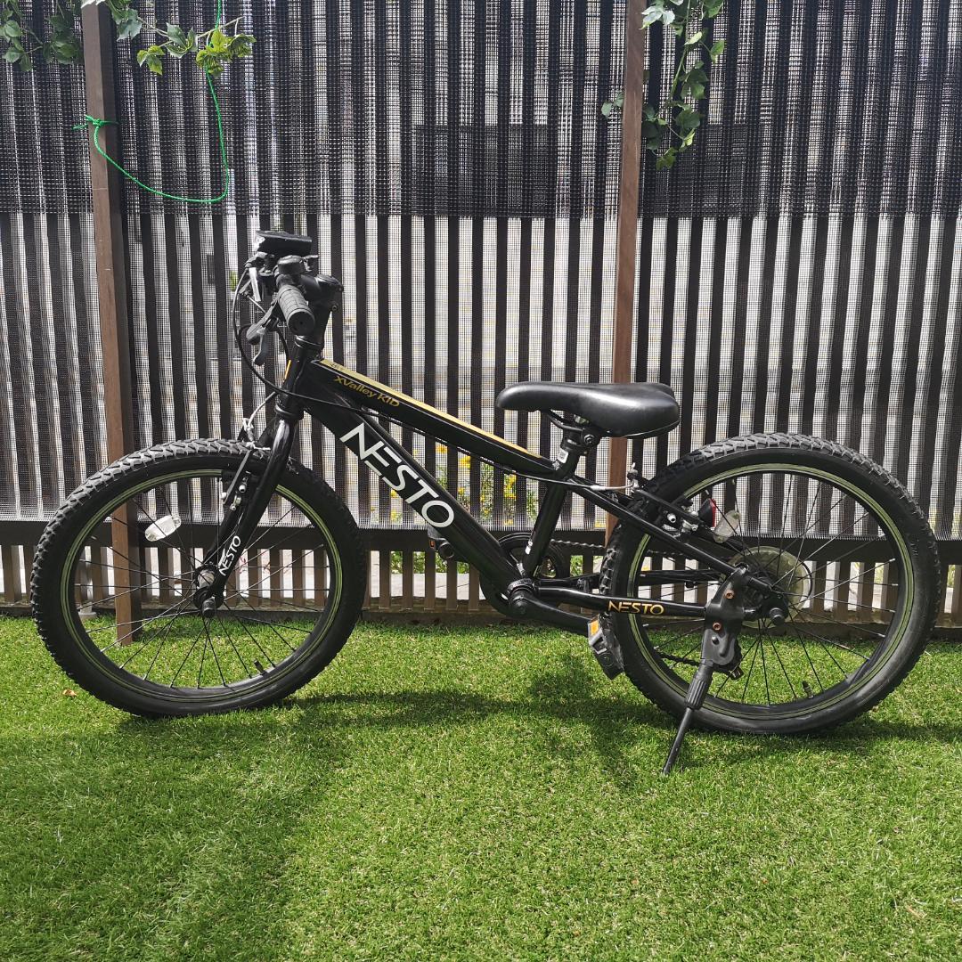 2023年購入 NESTO X-VALLEY KID 20インチ マウンテン
