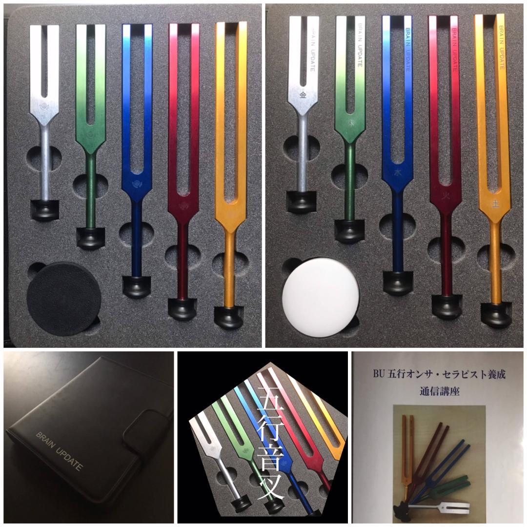 音叉 ニチオン 五行音叉 ブレインアップデート テキスト付 国産 新品未