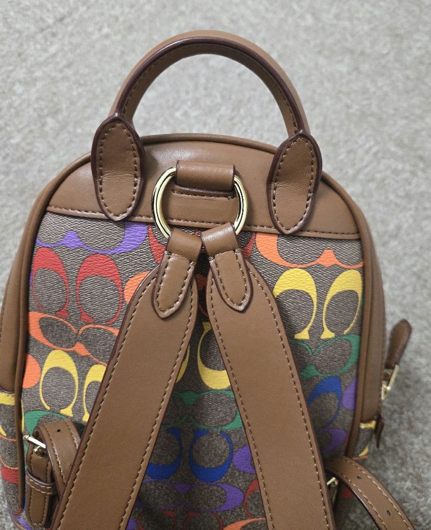 キャリー バックパック 23 レインボー シグネチャー キャンバス