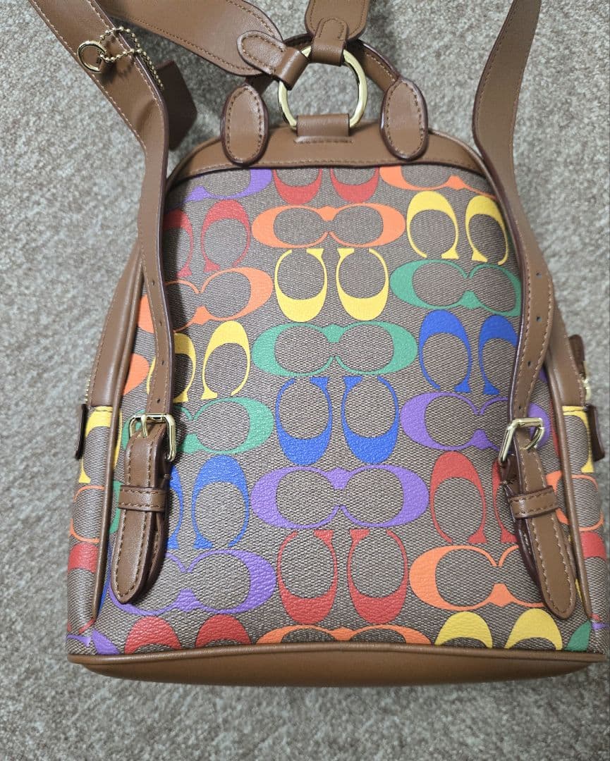 キャリー バックパック 23 レインボー シグネチャー キャンバス