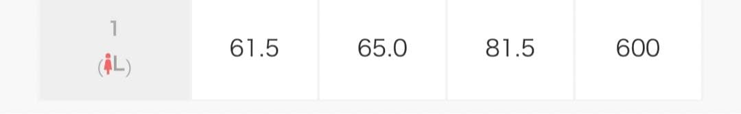 専用HOUSTON HOUSTON スカジャン(CAT)一点のみ