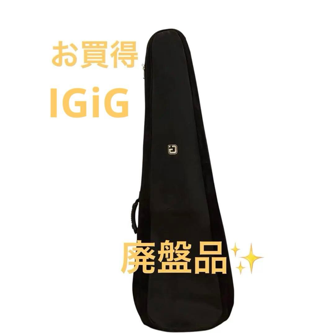 廃盤 IGiG アイギグ エレキベース ギグバッグ G315B ソフトケース