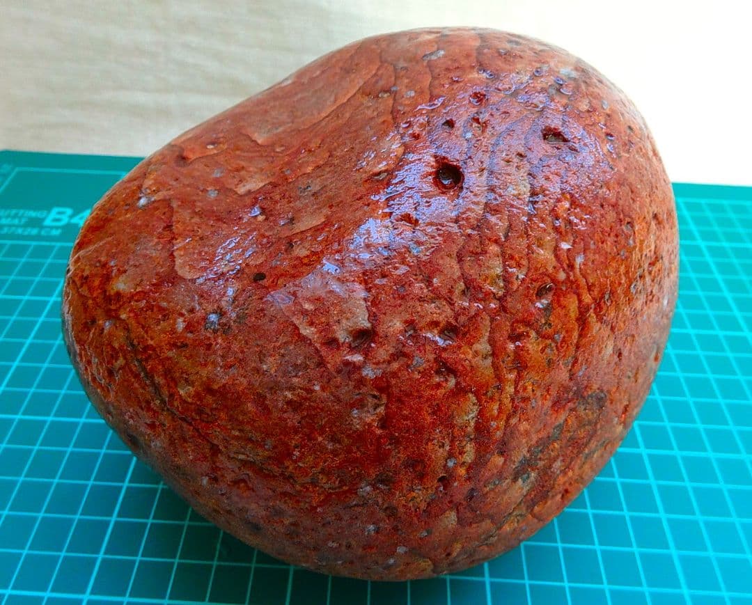 超レア!!姫川薬石赤虎(12)