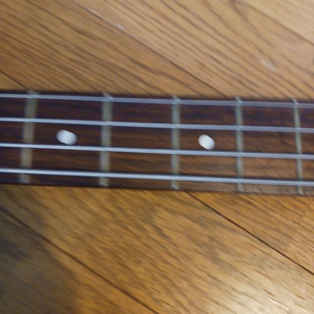 TAKE CHAN専用　Aria Pro II MAGNA Series