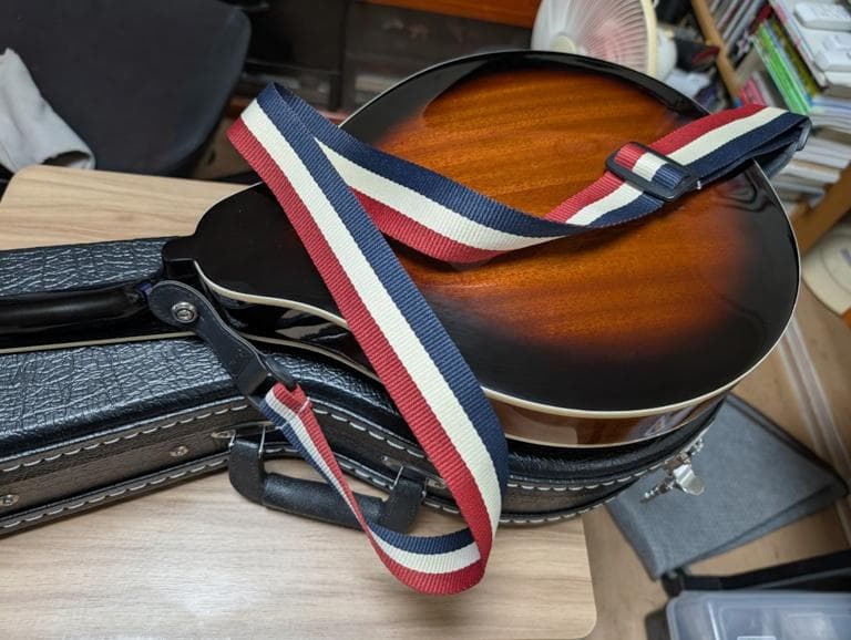 Aria フラットマンドリン AM-20 ハードケース付 美品