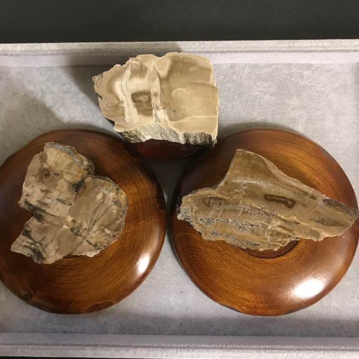 ★特選オンリー１品石★木の化石☆【ペトリファイドウッド珪化木✴︎原石】♡