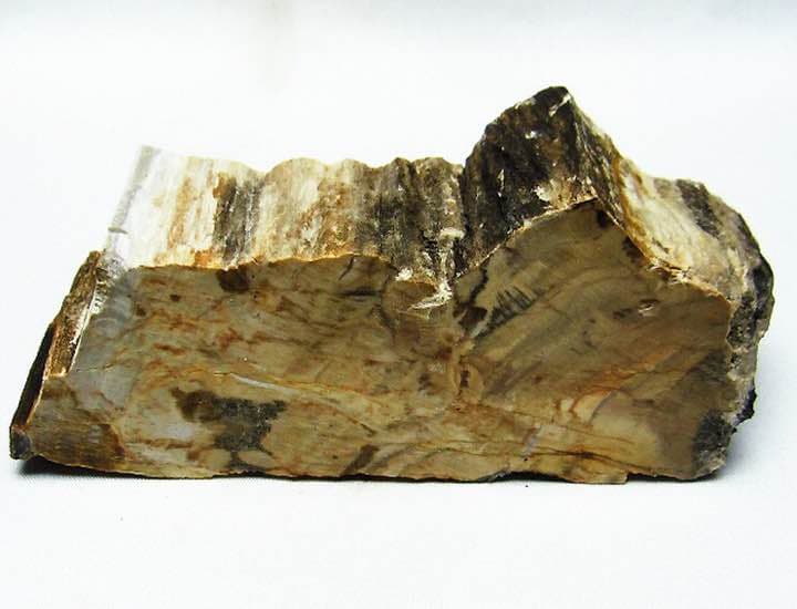 ★特選オンリー１品石★木の化石☆【ペトリファイドウッド珪化木✴︎原石】♡