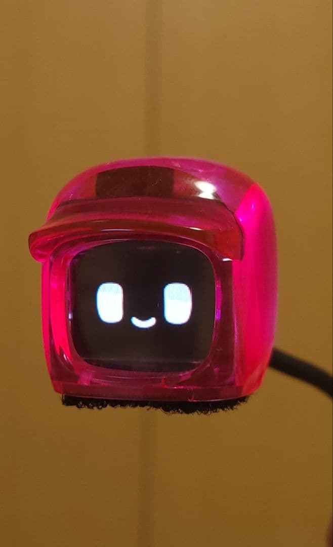 限定版 ダサイ もち 3 FUTURES MOCHI ピンク