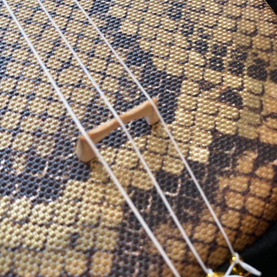 沖縄三線入門セット ケース.本.DVD付き