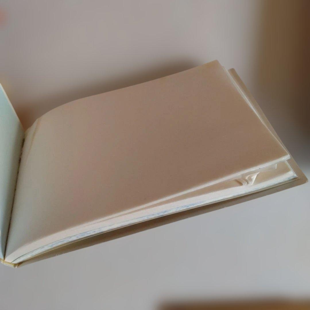 Pearl Flute フルート　PF-525