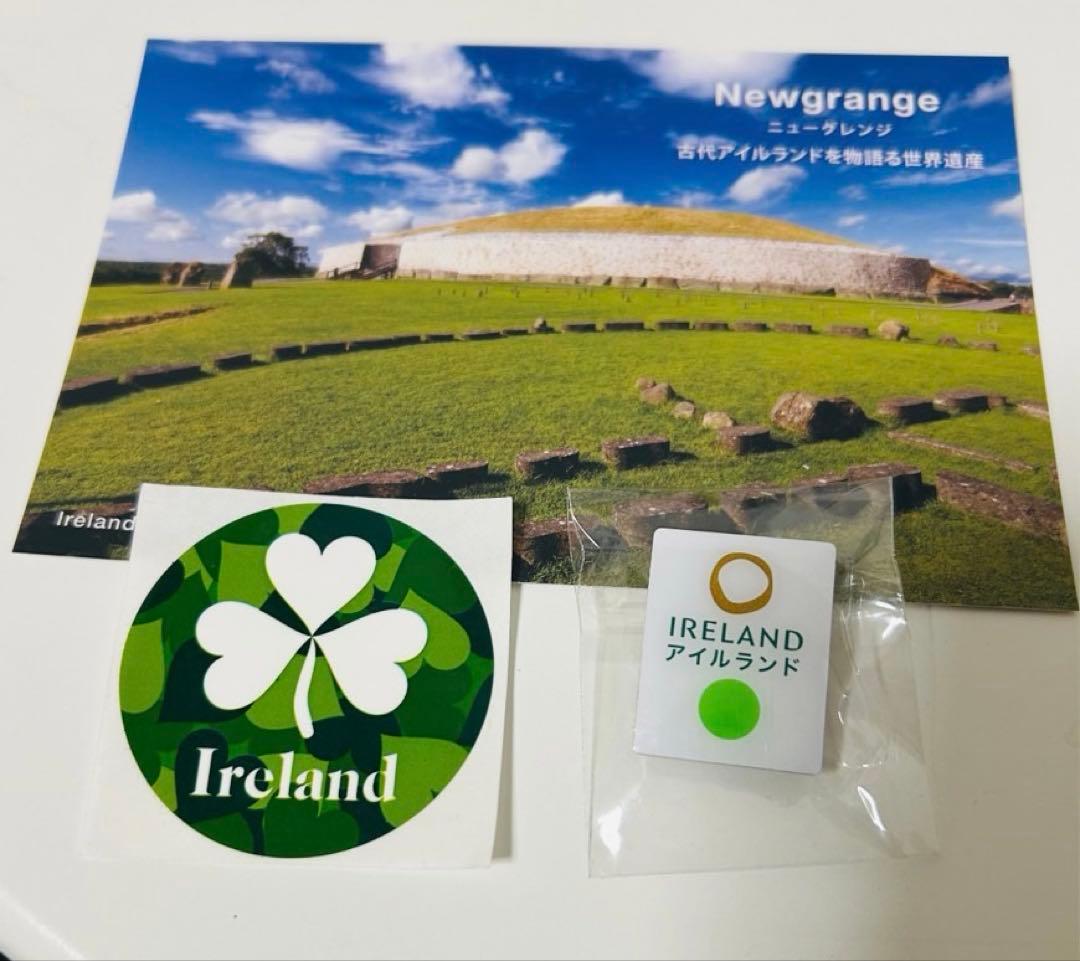 N*I様 落札キャンセルによる再出品 MOCMOC グラキリス 木製 枯れないグ