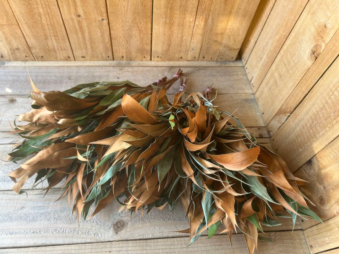 Shi-u☘️クローバー様✨人気花材❗️【⭐️】50本 グレビリアゴールド　ドライ