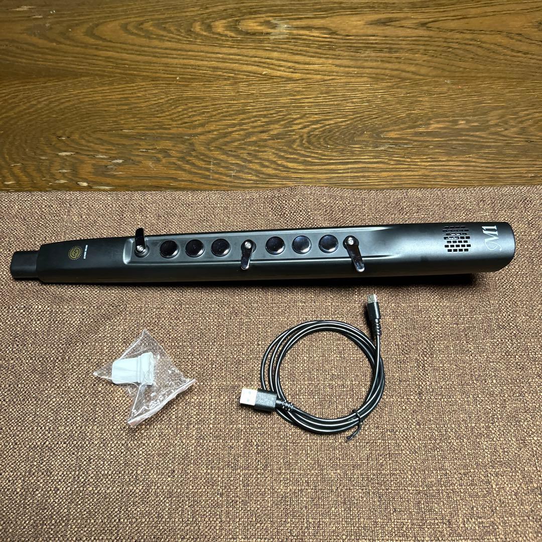 電子サックス　専用ケースと新品マウス付