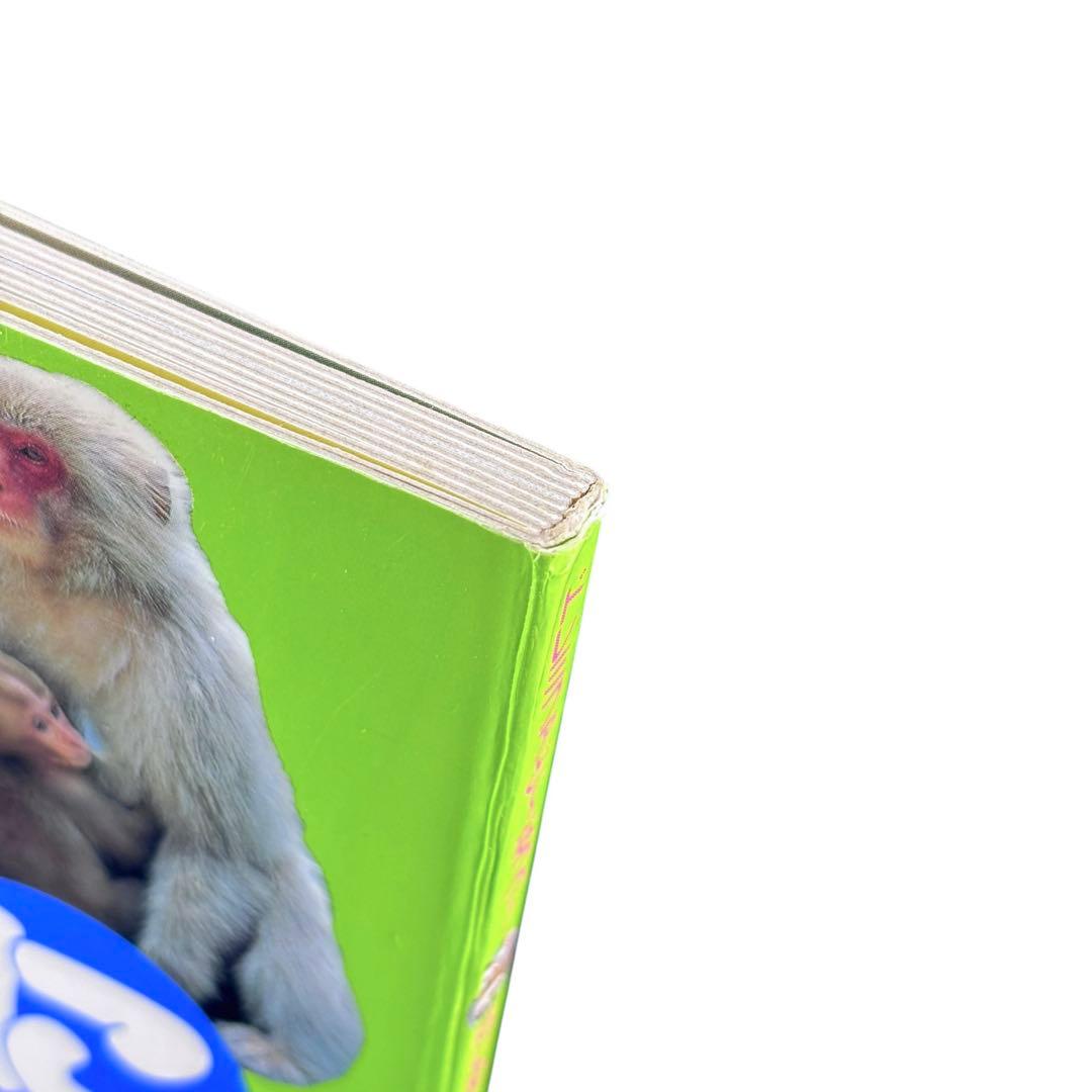 絵本 ドレミファど〜なっつ! はじめてのずかんシリーズ3 冊セット / 貴重本