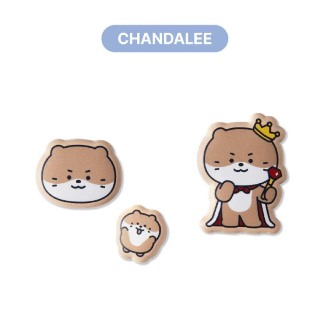 購入希望はコメント】 MINITEENミニティーン ディノ ステッカー - メルカリ