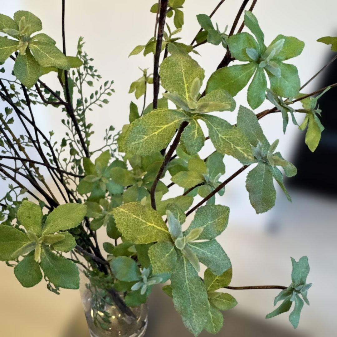 ドウダンツツジアジアンタムフェイクグリーン60cm 観葉植物 プリマオンライン