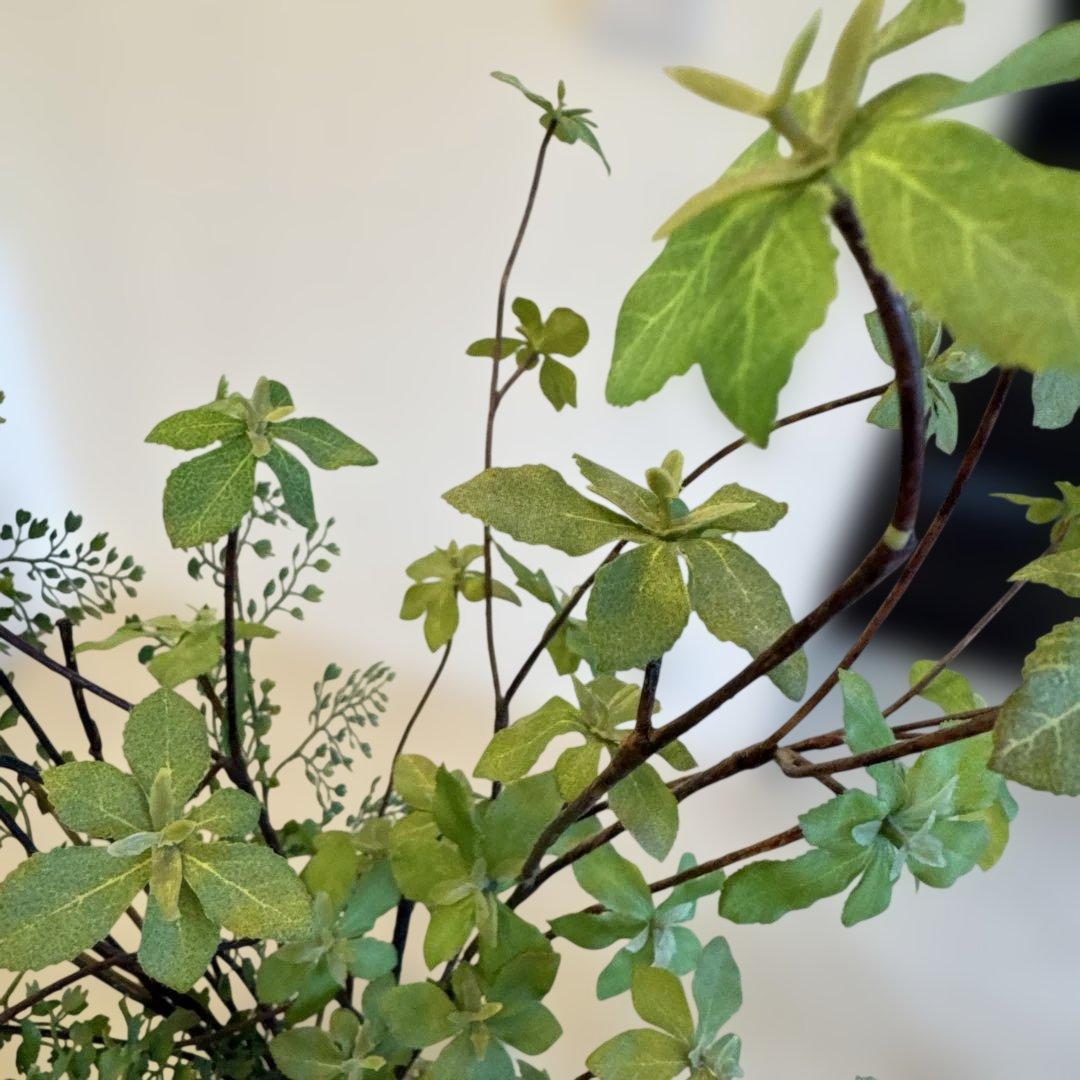 ドウダンツツジアジアンタムフェイクグリーン60cm 観葉植物 プリマオンライン