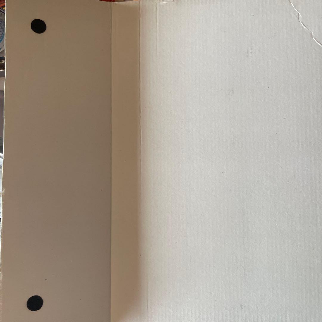 絶版　1/6 ライブ会場限定 布袋寅泰 リアル　アクション　フィギュア